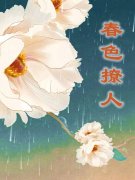 《春色撩人》小说全文在线试读，