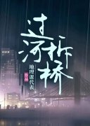 沈书砚贺山南(过河拆桥)全章节阅读