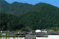 齐悦纪励衡无删减小说全文免费阅