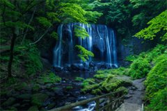 疯批王爷我罩了免费阅读_（姜绾宋