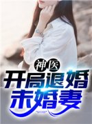 神医：开局退婚未婚妻（赵平安齐