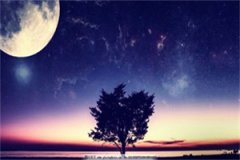 小说(尹南月凡尘天)最新章节免费阅