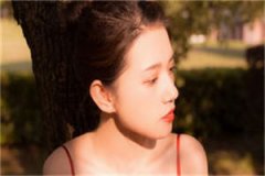 云徽许清屿小说，云徽许清屿最新