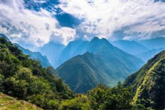 （陆寒纪渝薇）全章节免费小说 
