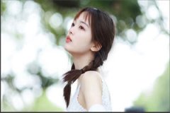 沈晚星贺西洲知乎小说-（沈晚星贺
