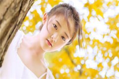 (一帘幽梦)小说免费阅读-(顾锦觅司