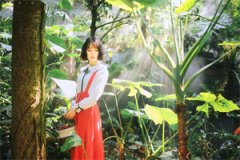 他的掌中娇知乎小说_(秦浅陆西衍