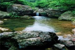 唐思然沈淮安小说免费阅读_(弹幕声
