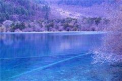 (陆芊宁裴祁轩小说)全文免费阅读