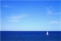 苏夏初程守俨什么小说——苏夏初