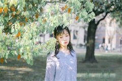 夏璇傅幸深免费精彩热门小说_夏璇