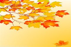 姜绾夏屿川全文小说_（似鹿归林）