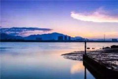 温柔周旭深全文免费阅读大结局_
