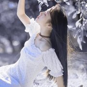 小说推荐《只有相思无尽处》小说