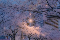 沈纤雪云天精彩阅读无弹窗大结局