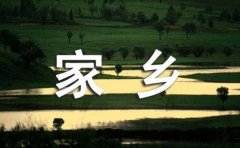 思念家乡的诗句【热门】