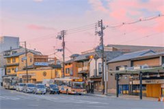 世人皆知我全文免费在线阅读_拓跋