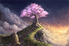 飞行日志(林旋姜然)全文免费阅读