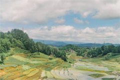 爱不知归处（孟芝林柯）全文免费