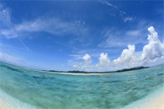完整版小说（萧礼林屋屋）最新章