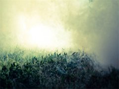 宁笙宋致远大结局-主角叫宁笙宋致