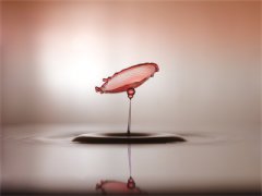 2023热门小说《言颂周斯越》其实他