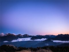 《沈星若陆淮》无广告阅读 沈星若