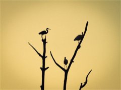 ﻿尘烟暮雪染霜华小说全文免费阅
