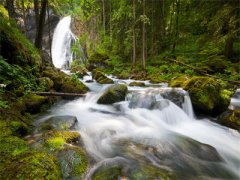 沈诺陆劲川小说全文免费阅读-最新