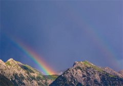 科学院士苏默精彩试读_抖音热推小