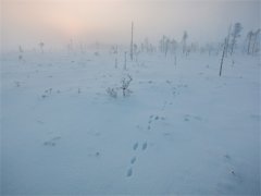 阮雪陆周全文免费阅读大结局-小说