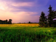 江若璃林景煜知乎小说-小说江若璃