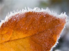 分隔四年是什么书-沈墨白云芝分隔