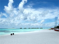 陆深林初夏甜味失忆刚刚更新_陆深