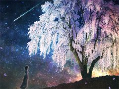 (周雅周梦)步步温存最新章节在线阅