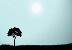 秦耀苏半夏知乎小说-（秦耀苏半夏