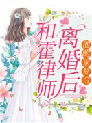 热门小说和霍律师离婚后，他跪求