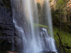 高甜免费小说凌楚思季霄白最新章