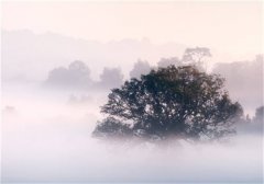 笔趣阁免费小说林芙陆西鸣-主角为