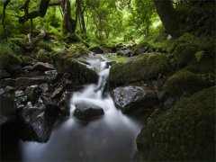 耽美文楚颜兮容景小说-热门小说楚