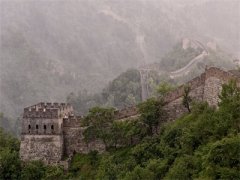 主角是陈情的小说女主别哭，反派