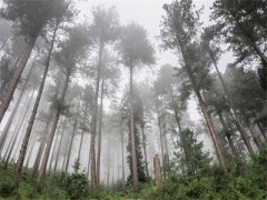 暗黑前行《陈燃短篇小说》在线阅