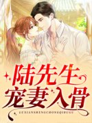 陆先生宠妻入骨抖音全本小说叶倾
