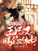 书荒求小说毒妃降临：王爷王妃又