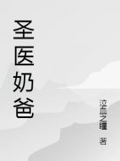 《圣医奶爸》小说更新最快，叶灿