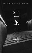 罗宾肖雨笛小说叫什么（狂龙归来