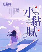 小黏腻是什么小说易栀徐熠全本免