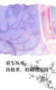 重生八零：孩他爹，咱破镜重圆宋