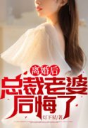 小说《离婚后，总裁老婆后悔了》