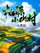 抖音爆款桃源小山村小说免费阅读